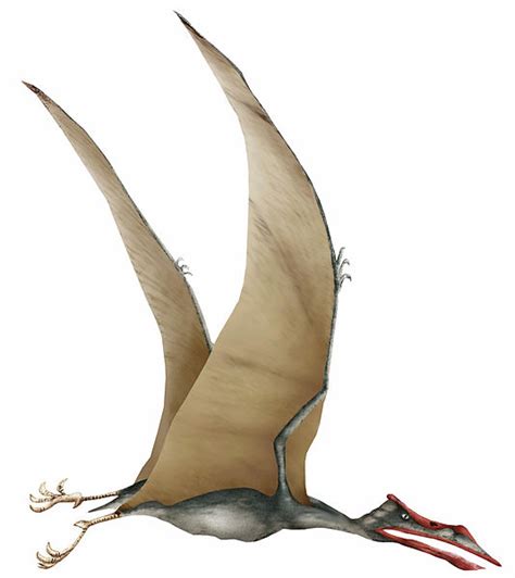  Quetzalcoatlus! Khám phá Con Rồng Terrifying Trên Trời Vào Thời Kỷ Phấn trắng